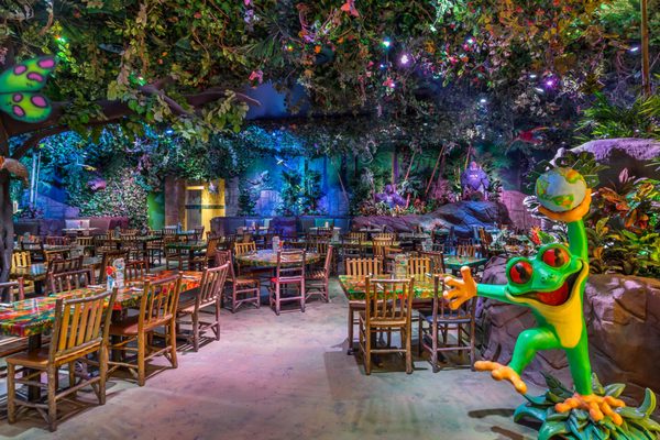 Rainforest Cafe by null