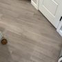Sunshine Carpet Cleaning