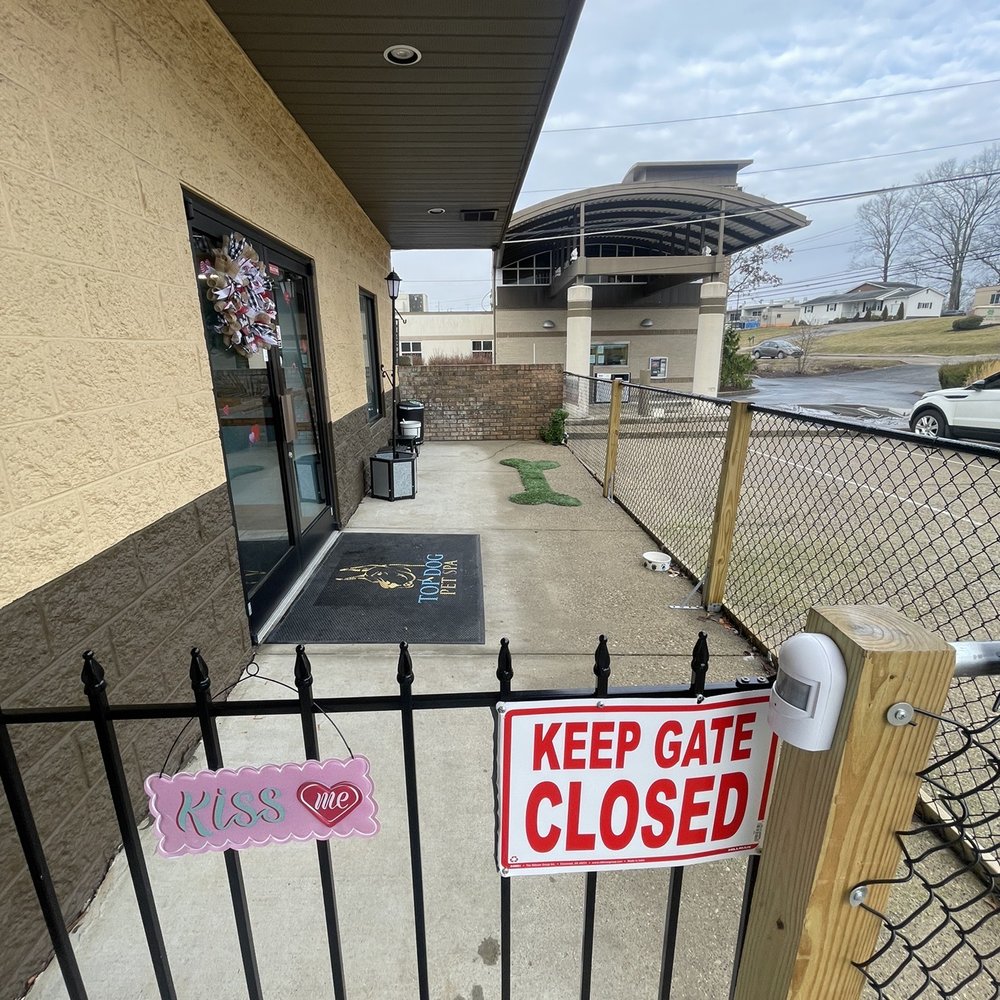Top Dog Pet Spa - Gated area for play - Pet Groomers Near Me - Hurricane, West Virginia Top Dog Pet Spa - Gated area for play - Pet Groomers Near Me - Hurricane, West Virginia