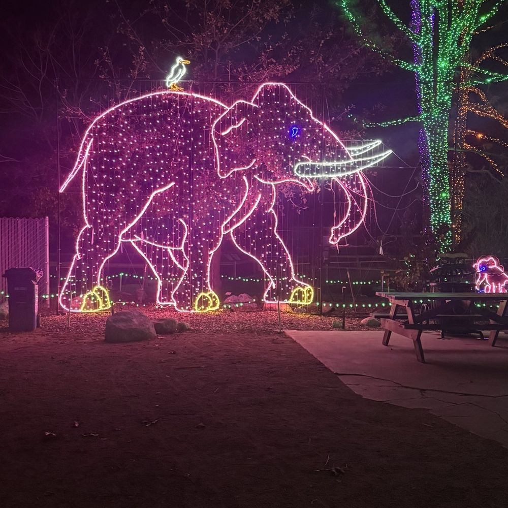 Holiday Lights at C.A.L.M. - Festivals Near Me - Bakersfield, California Holiday Lights at C.A.L.M. - Festivals Near Me - Bakersfield, California