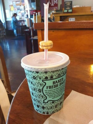 Potbelly by null