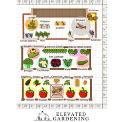 Elevated Gardening - Small Garden Design