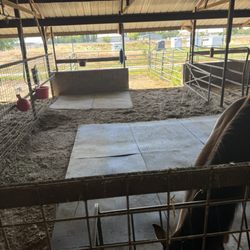 ReedyRanch
