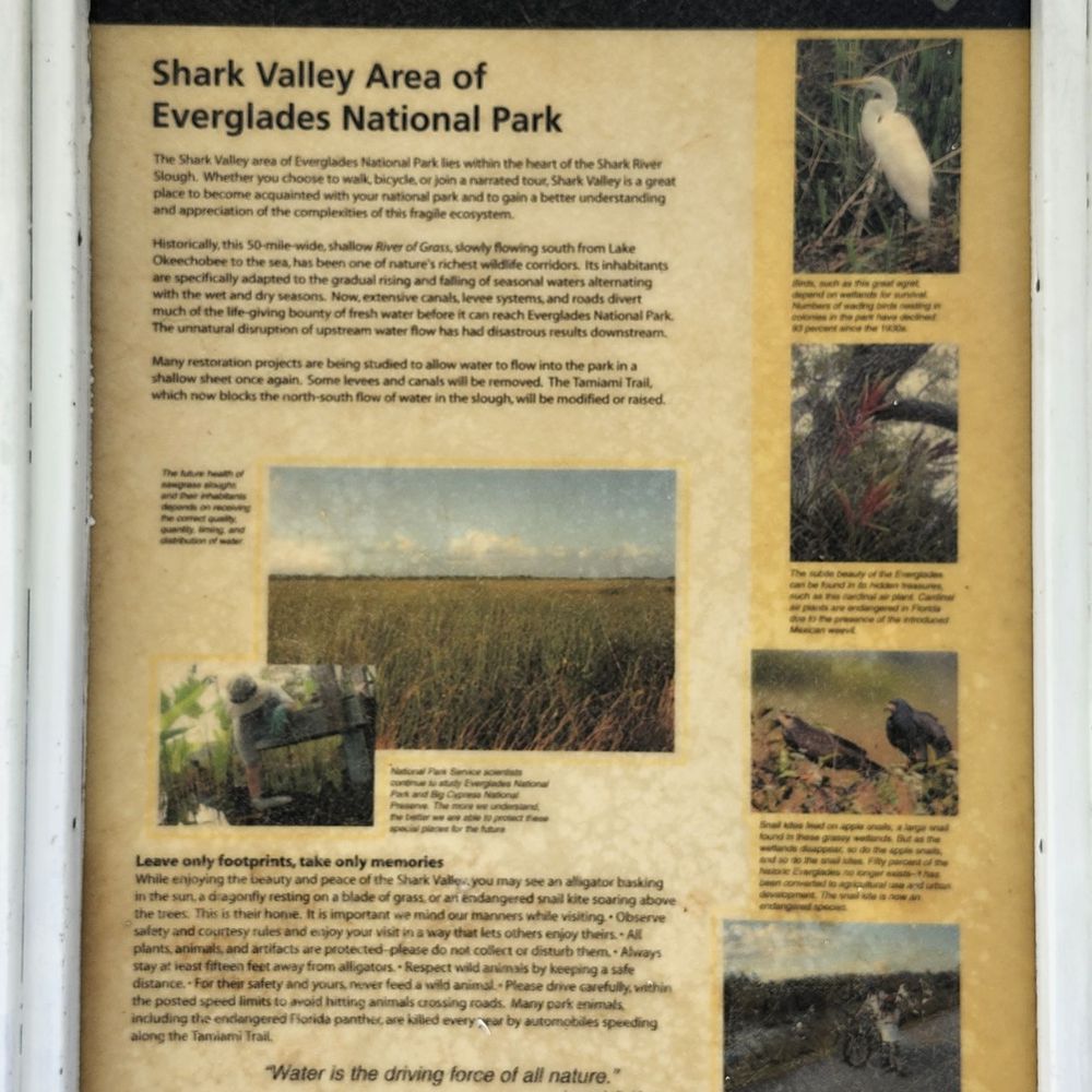 Shark Valley Tram Tours - Tours Near Me - Miami, Florida