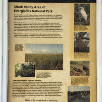Shark Valley Tram Tours - Tours Near Me - Miami, Florida Shark Valley Tram Tours - Tours Near Me - Miami, Florida