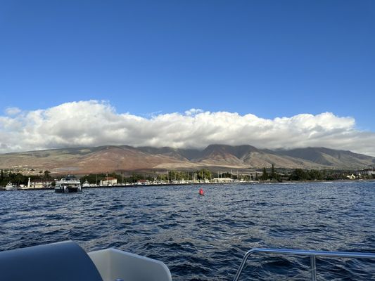 Pacific Whale Foundation by null