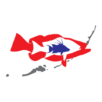 Key West Seafood - a red and blue fish - Seafood Markets Near Me - Gulfport, Florida Key West Seafood - a red and blue fish - Seafood Markets Near Me - Gulfport, Florida