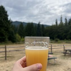 Birdsview Brewing Company