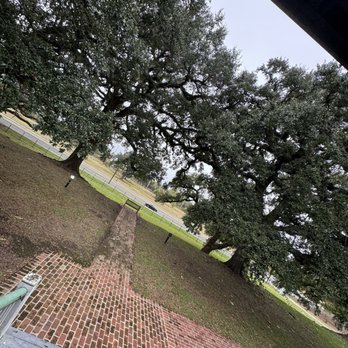 Magnolia Mound Plantation - Trees - Venues & Event Spaces Near Me - Baton Rouge, Louisiana