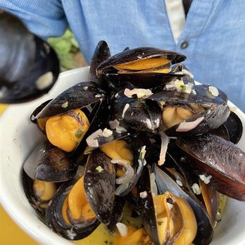Red Dot Restaurant & Bar - mussels marniere in early summer - the best and largest we've EVER seen - New American Near Me - Hudson, New York
