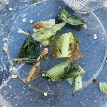Panera Bread - Wilted and brown lettuce - just purchased 10 mins ago - Sandwiches Near Me - Millbrae, California
