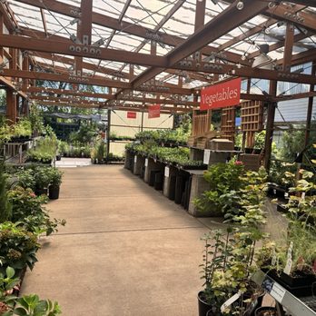 Garden Fever - Nurseries & Gardening Near Me - Portland, Oregon