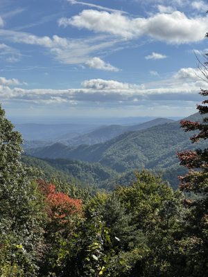 Gorges State Park by null