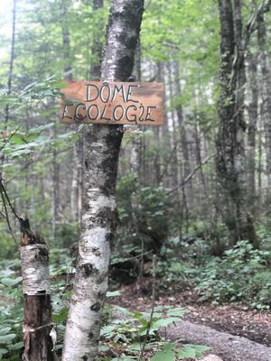 Centre de l'Hêtre by null