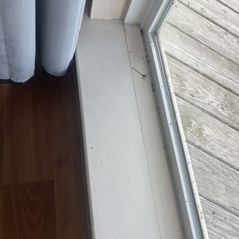 Siebert Realty - Dead ants everywhere - Vacation Rentals Near Me - Virginia Beach, Virginia