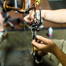 Spoke Life Cycles Perrysburg