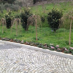 Meyve Bahçesi 2013