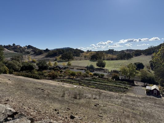 Jordan Vineyard & Winery by null