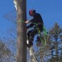 Photo of Bart Flanagan Tree Service