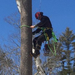 Bart Flanagan Tree Service - We will climb great lengths to make our customers happy.