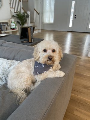 Photo of Norwalk Animal Hospital - Norwalk, CT, US.