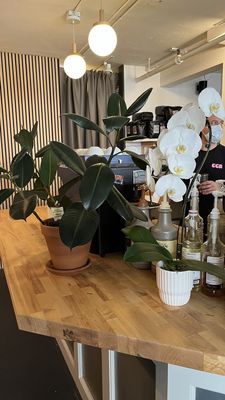 Overcast Coffee by null