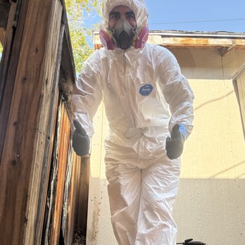 DripTech Restore - Damage Restoration Near Me DripTech Restore - Damage Restoration Near Me