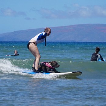 Surf Shack Maui - Surfing with Church, Maui's only k-9 surfing instructor - Paddleboarding Near Me - Kihei, Hawaii Surf Shack Maui - Surfing with Church, Maui's only k-9 surfing instructor - Paddleboarding Near Me - Kihei, Hawaii