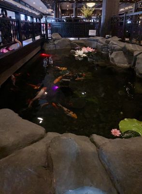 Peking Garden by null