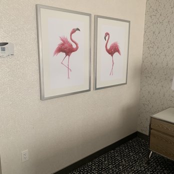 Flamingo Las Vegas - goes with the hotel theme. - Hotels Near Me - Las Vegas, Nevada Flamingo Las Vegas - goes with the hotel theme. - Hotels Near Me - Las Vegas, Nevada