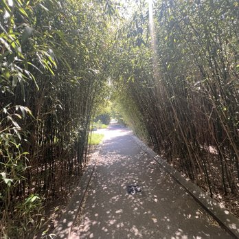Coulée Verte René-Dumont - 5/26/26 FYI. Bamboo forest - Parks Near Me - Paris, 75