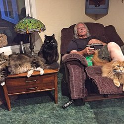 Eric S Dunbar , PC - Tooth fixed and relaxing with the kitties...