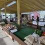 Photo of Coleman's Farm Market