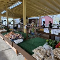 Coleman's Farm Market - Opening day at Coleman's on Ridge Road.
