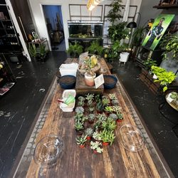 Energy Gardens Terrariums - Table where we made our terrariums