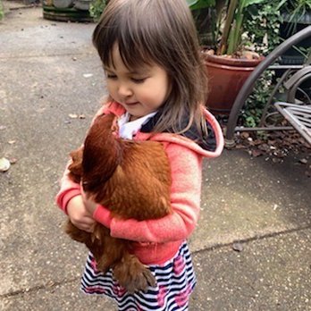 Petite Scholars - Preschools Near Me - Folsom, California