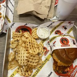 Hangry Joe's Hot Chicken - Chicken sandwich and waffle fries