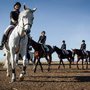 Photo of Sterling Riding Academy