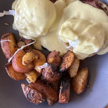 Tarpon River Brewing - Eggs Benedict - Breweries Near Me - Fort Lauderdale, Florida Tarpon River Brewing - Eggs Benedict - Breweries Near Me - Fort Lauderdale, Florida