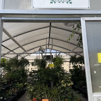 Green Thumb Nursery - Their house plant section - Nurseries & Gardening Near Me - Santa Clarita, California Green Thumb Nursery - Their house plant section - Nurseries & Gardening Near Me - Santa Clarita, California