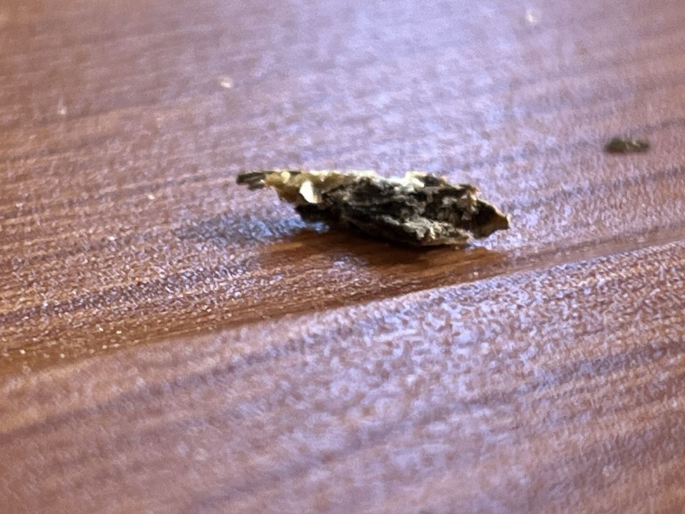 Medstar Montgomery Medical Center - patient advocate in Olney, MD