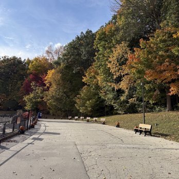 Milwaukee County Zoo - beautiful fall leaves - Zoos Near Me - Milwaukee, Wisconsin
