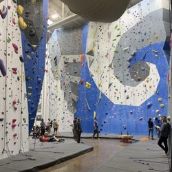 Movement - Gym