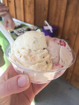 Cayuga Lake Creamery by null