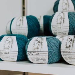 Fiber Friends Studios - Wool Dreamers Cautiva
