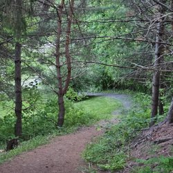 Cascade Park - On the trail