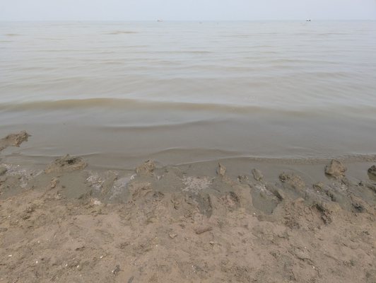 Bay City State Park by null