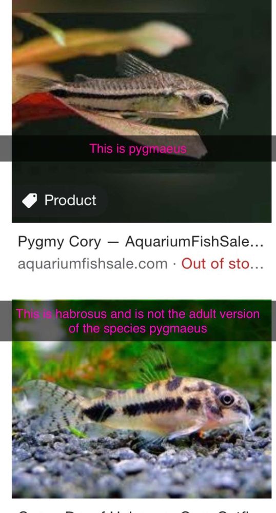 WINCHESTER AQUARIUM & PET CENTER Updated September 2024 26 Photos