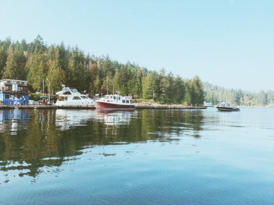 Backeddy Resort & Marina by null