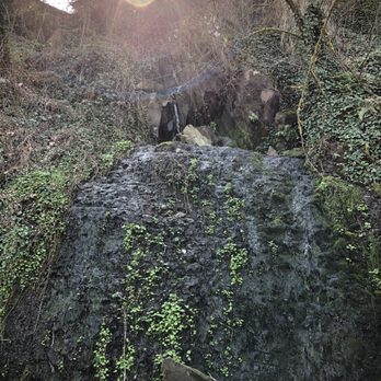 George Rogers Park - Go up the trail, there's a tiny waterfalls here! - Parks Near Me - Lake Oswego, Oregon